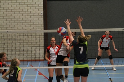 SmSp_2013_04_20_007881_1
